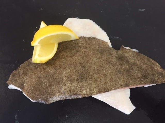 Turbot